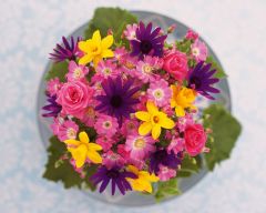 Tapeta Nature Flowers 599.jpg